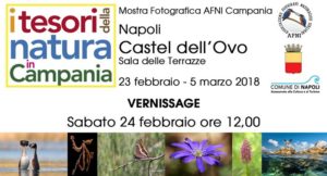 I tesori della natura in Campania