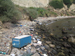 bonifica della spiaggia trentaremi