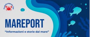MaReport