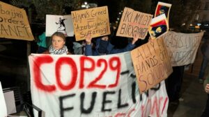 cop29 risultati