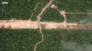 Avenida Libertade - BBC - Amazzonia- Brasile-min
